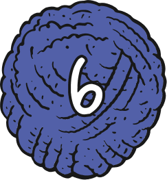 6